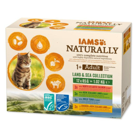 Kaps.IAMS Natur.mors.Asuchoz.mäsoVomáč.multip.12x85g