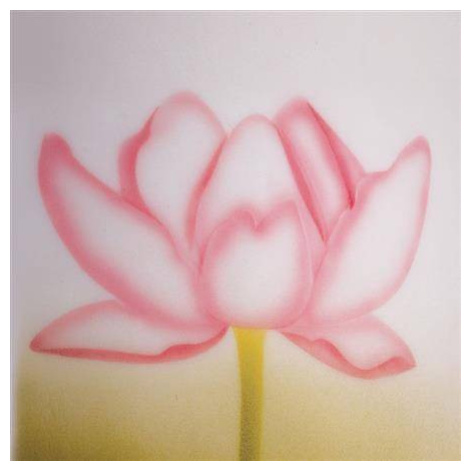 Stencil pre airbrush lotos - Martellato