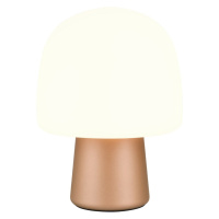 Stolová lampa v bielo-bronzovej farbe so skleneným tienidlom (výška 27 cm) Steen – Trio