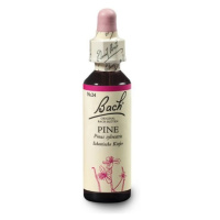 ORIGINAL BACH® Pine 20 ml