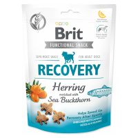 Pochúťka Brit Care Dog Functional Snack Recovery Sleď 150g