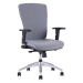 Ergonomická kancelárska stolička OfficePro Halia Farba: sivá, Opierka hlavy: bez opierky