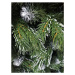 Limpol Vianočný stromček borovica Lamia 120 cm
