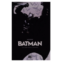 DC Comics Batman: The Dark Prince Charming (Pevná väzba)