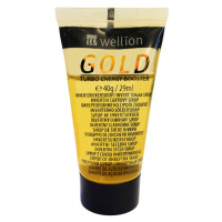 WELLION Gold invertovaný tekutý cukor v tube 40g