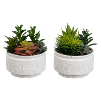 Umelé rastliny v súprave 2 ks (výška 19 cm) Cactus – Casa Selección