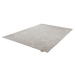 Svetlosivý vlnený koberec 160x230 cm Arol – Agnella