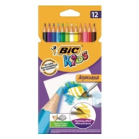 BIC Farbičky Aquacolor 12ks