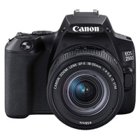 Canon EOS 250D + EF-S 18-55mm DC BK