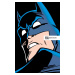 DC Comics Batman: The Dark Knight Detective 3