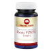 Pharma Activ Reishi forte 1000 90 cps