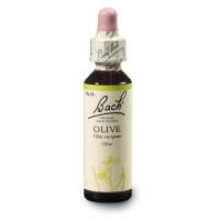 ORIGINAL BACH® Olive 20 ml