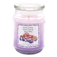 CANDLE LITE Nectar & Fruit & Berry 538 g