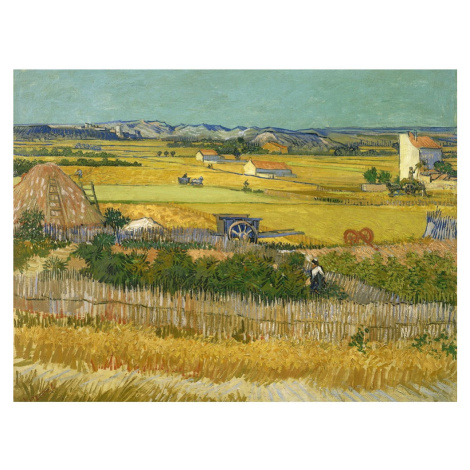 Obraz - reprodukcia 70x50 cm Vincent van Gogh, Harvest – Fedkolor