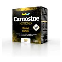 SALUTEM Carnosine komplex 900 mg 120 tabliet