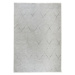 Sivý koberec 80x150 cm Jaipur – Webtappeti