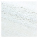 Kusový koberec Brilliant Shaggy 4200 Snow - 120x170 cm Ayyildiz koberce