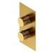 OMNIRES - CONTOUR termostatická sprchová batéria podomietková zlatá kartáčovaná /GLB/ CT8036GLB