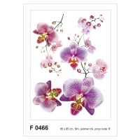 F 0466 AG Design Samolepiace dekorácie - samolepka na stenu - Blossom pink, veľkosť 65 cm x 85 c