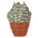 Tapiséria 20x30 cm Little Aloe – Nattiot