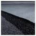 Kusový koberec Plus 8010 black Rozmery koberca: 200x290