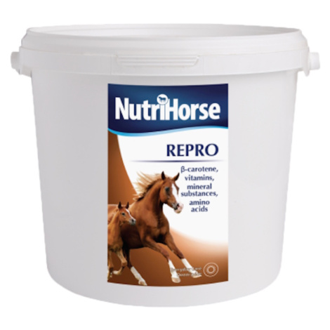 Vitamíny a liečivá pre kone Nutri Horse