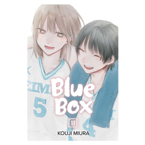 Viz Media Blue Box 11