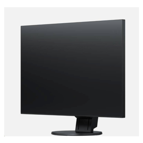 EIZO MT IPS LCD LED 24