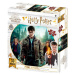 3D puzzle Harry Potter-Harry,HermioneandRon 300ks