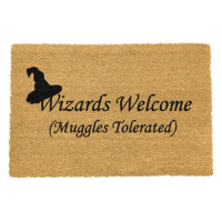 Rohožka z prírodného kokosového vlákna Artsy Doormats Wizards Welcome, 40 x 60 cm