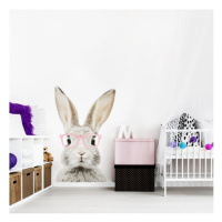 Detská nálepka na stenu v podobe králika s okuliarmi