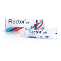 FLECTOR Gél 60 g