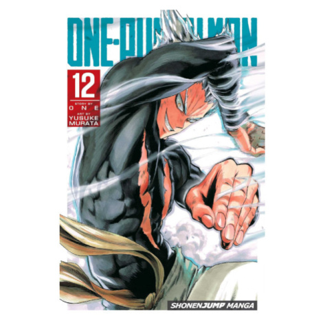 Viz Media One-Punch Man 12