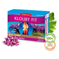 TEREZIA Kĺby fit 60 kapsúl