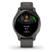 Garmin Venu 2S Slate Graphite