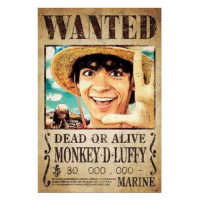 Plagát One Piece - Wanted Monkey D. Luffy (213)