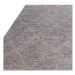 Sivý koberec s prímesou juty 120x170 cm Mulberrry – Asiatic Carpets