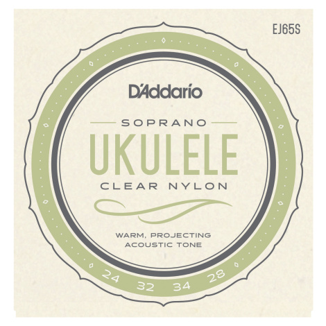 D'Addario EJ65S