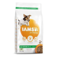 Iams Dog Adult Small&Medium Lamb 3kg zľava