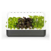 CLICK AND GROW SMART GARDEN 9, SEDA SG9G