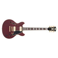 D'Angelico Deluxe Mini DC Trans Wine