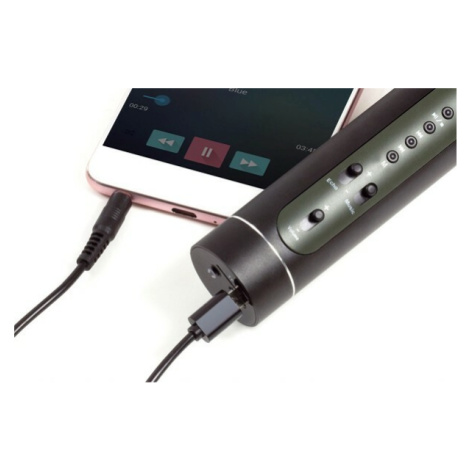 Mikrofón Karaoke Bluetooth čierny na batérie s USB káblom Teddies