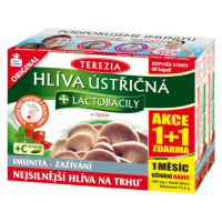 TEREZIA Hliva ustricovitá + Laktobacily akcia 1+1 so šípkami 2 x 60 kapsúl