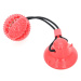 Reedog Pet Molar red