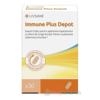 LIVSANE Immune Plus Depot vitamín C+D+zinok, s predĺženým účinkom 30 cps
