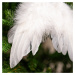 Anjelské krídla z peria 18 x 16 cm biela, sada 12 ks