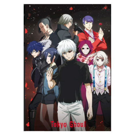 Abysse Corp Tokyo Ghoul Group Poster 91,5 x 61 cm