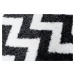 TA Čierno-biely plyšový koberec so vzorom Sabrina Rozmer: 160x220 cm