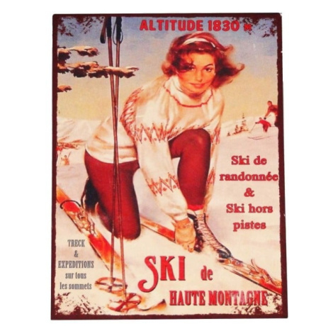 Kovová ceduľa 25x33 cm Ski – Antic Line