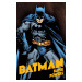 DC Comics Batman: Super Powers